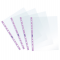Buste forate Pastel con banda liscia - 22 x 30 cm - lilla - conf. 25 pezzi - Favorit - 400136869 - 8006779037492 - DMwebShop