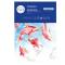 Carta per acquarello Talento - A4 - 300 gr/m2 - conf. 10 fogli - Musa - MU131294 - 8004957122794 - DMwebShop