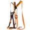 Kit classic protezione anticaduta Elara 160 V2 - Deltaplus - ELARA160V2GT - 3295249265649 - DMwebShop