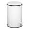 Pattumiera 5 lt acciaio inox bianco - 27998