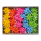 Stelle di nastro ecocolor - 20 mm x Ø 9 cm - colori assortiti primavera - conf. 36 pezzi - Brizzolari - 02466899 - 8031653515971 - DMwebShop