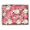 Stelle di nastro carta erba - 15 mm x Ø 6,5 cm - fantasie assortite natale - conf. 50 pezzi - Brizzolari - 02740500 - 8031653581143 - DMwebShop