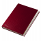 Classificatore numerico 1/31 - 643E - 24 x 34 cm - rosso - Fraschini - 643E-ROSSO - 8027032020013 - DMwebShop