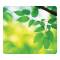 Mousepad Earth Series Foglie ecologico - 2732