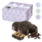 Colomba Regal cioccolato Linea Top Regal - 1000 gr - Loison - 8016 - 799729013414 - DMwebShop