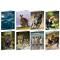 Maxiquaderno Animal World 2024 - A4 - rigo di 1a - 21 fogli - 80gr - conf. 10 pezzi - Blasetti - 8575 - 8007758285750 - DMwebShop