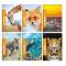Maxiquaderno Be More Wild - A4 - 36+2 fogli - 100 gr - 10 mm - conf. 10 pezzi - BM - 0120567 - 8008234205675 - DMwebShop