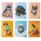Maxiquaderno Cute fantasia - A4 - 40+2 fogli - 80 gr - rigo di 3a - conf. 10 pezzi - BM - 0110385 - DMwebShop