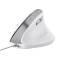 Mouse ergonomico Bayo II - con filo - bianco - Trust - 25397 - 8713439253979 - DMwebShop