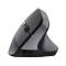 Mouse ergonomico wireless TM-270 - nero - Trust - 25371 - 8713439253719 - DMwebShop