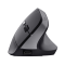Mouse ergonomico wireless TM-270 - nero - Trust - 25371 - 8713439253719 - DMwebShop