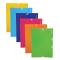 Cartella 3L - PPL - A4 - colori assortiti - conf. 24 pezzi - Colorosa - 362201 - 8004428043436 - DMwebShop