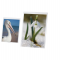 Portadepliant - A4 - PVC semirigido - Lebez - 5254 - 8007509052549 - DMwebShop