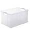 Contenitore portaoggetti - 59 x 39 x 31 cm - A3 - 55 lt - PPL - trasparente - Rotho - F600159 - 7610859060051 - DMwebShop