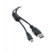 Cavetto per Conta-Verifica banconote - HT6060 - nero - Holenburg - 3340C - 8028422333409 - DMwebShop