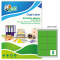 Etichetta adesiva LP4F - permanente - 99,1 x 67,7 mm - angoli tondi - 8 etichette per foglio - verde fluo - conf. 70 fogli A4 - Tico - LP4FV-9967 - 8007827270281 - DMwebShop