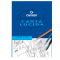Blocco carta lucida - 297 x 420 mm - 10 fogli - 80 gr - uso manuale - Canson - C200005827 - 3148950058270 - DMwebShop