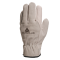 Guanti da lavoro FCN29 - palmo in pelle fiore di bovino - dorso crosta di bovino - taglia 08 - bianco - Deltaplus - FCN2908 - 3295249028862 - DMwebShop
