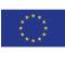 Bandiera Europa - poliestere nautico - 100 x 150 cm - Cartelli Segnalatori - BAE150 - 8871901500126 - DMwebShop