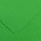 Foglio Colorline - 70 x 100 cm - 220 gr - verde brillante - conf. 25 pezzi - Canson - 200041215 - 3148954227320 - DMwebShop