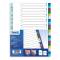 Divisori alfabetici 20 tacche - PP - A4 - colori assortiti - Favorit - 400132466 - 8006779029282 - DMwebShop