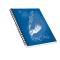 Blocco notes - spiralato sul lato lungo - 1 rigo - 22,3 x 28 cm - 80 gr - 70 fogli - Pigna - 02306881R - 8005235184008 - DMwebShop